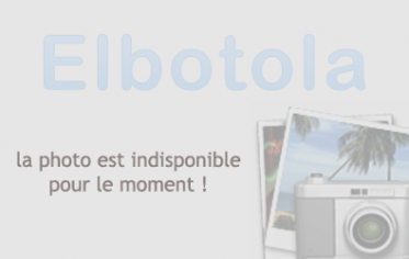 جدول الإنتقالات الشتوية 2010 للبطولة الوطنية
