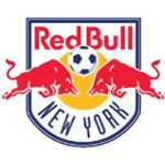 نيويورك ميتروستارز - New York Red Bulls